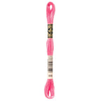 DMC embroidery floss – MED RSE (899)