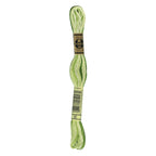 DMC embroidery floss – AVOCADO (92)