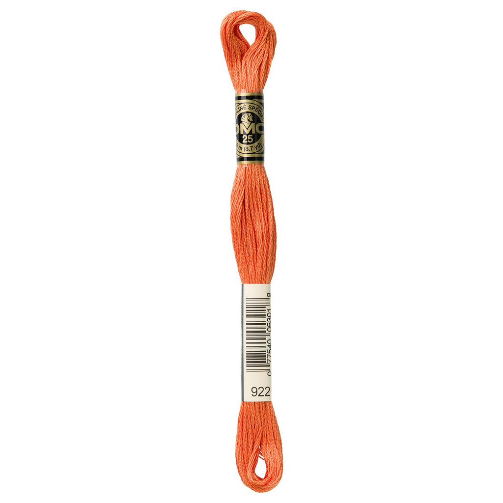 DMC embroidery floss – LIGHT CPR (922)