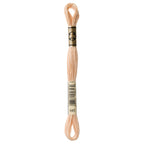 DMC embroidery floss – TAWNY (945)