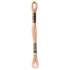 DMC embroidery floss – LIGHT DESERT SAND (950)