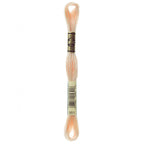 DMC embroidery floss – LIGHT TAWNY (951)
