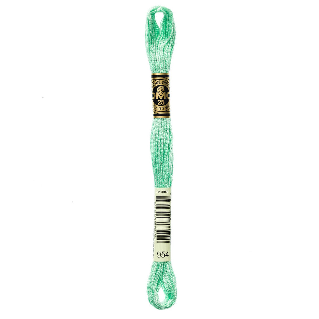 DMC embroidery floss – NILE GRN (954)