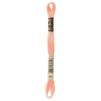DMC embroidery floss – VERY LIGHT APRICOT (967)