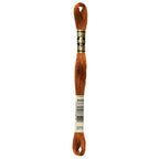 DMC embroidery floss – DARK GLD BRN (975)
