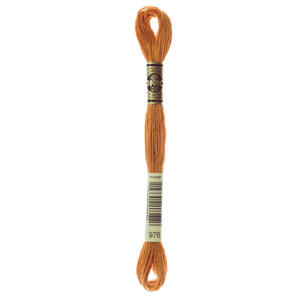 DMC embroidery floss – MED GLD BRN (976)