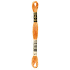 DMC embroidery floss – LIGHT GLD BRN (977)
