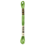 DMC embroidery floss – FRST GRN (989)