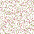 Wild Berry - Multi