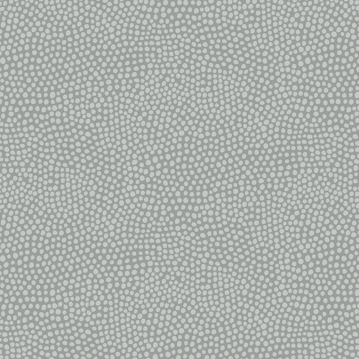 Dew Drops - Nickel