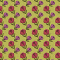 Pebble - Lime