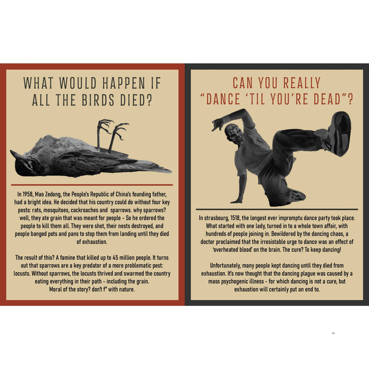 Curious Man Thoughts Gift Books – Funny Men's Gifts