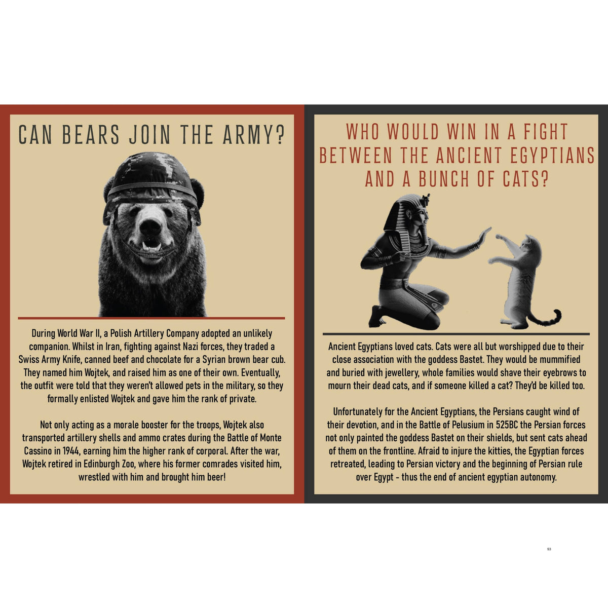 Curious Man Thoughts Gift Books – Funny Men's Gifts