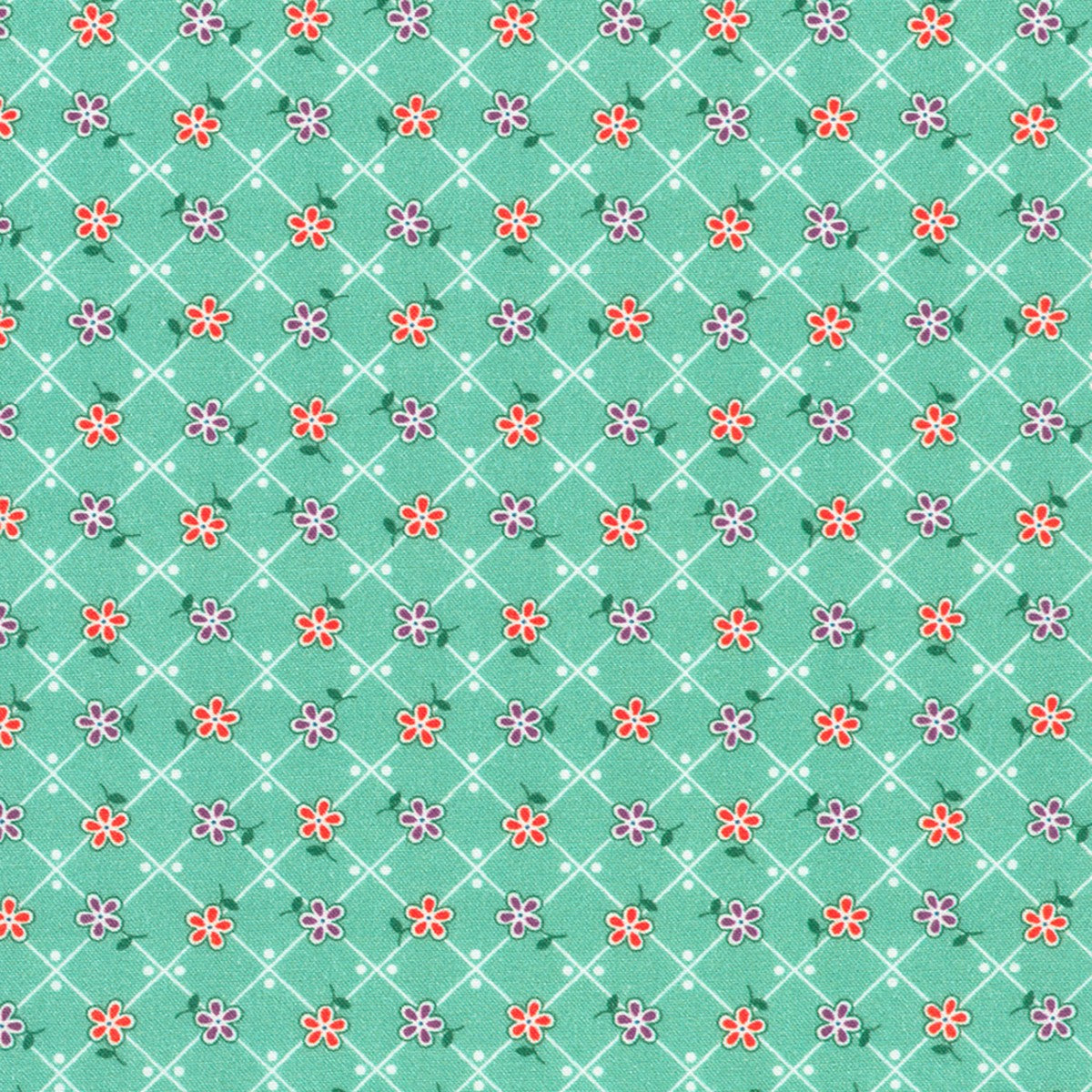 Aloe - 23342-36