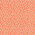 Orange - 23343-8