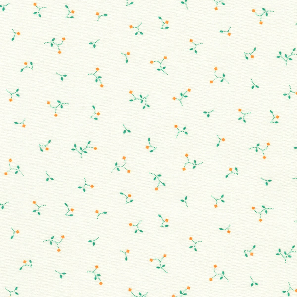 Aloe - 23345-36