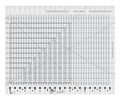 RULER CGR STRIPOLOGY XL