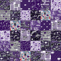 Kansas State Collegiate Cheater Cotton Fabric