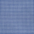 Carolina Gingham - Royal - P-5689-1