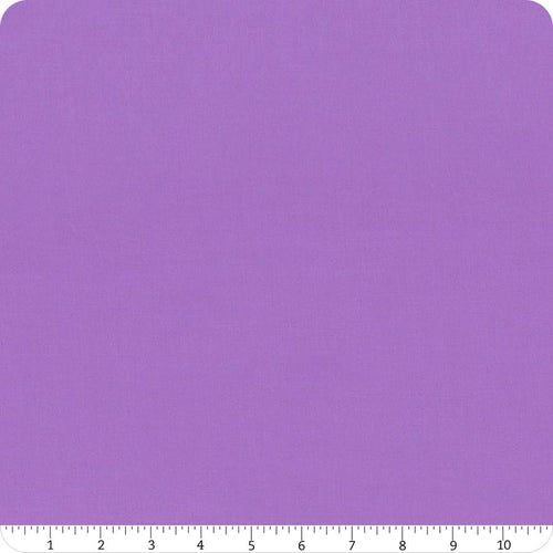 Amelia Purple