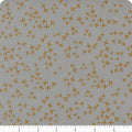 Light Grey 11674 12