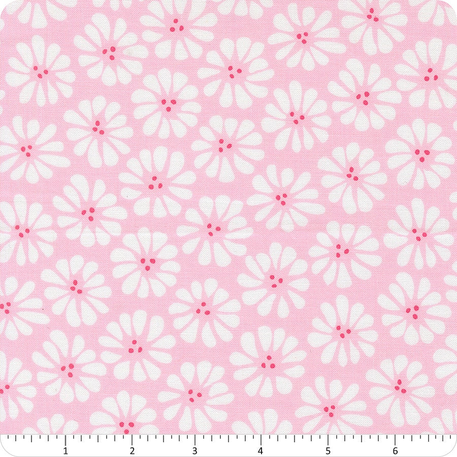 Pick Me Lazy Daisy - Petal