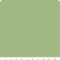 Patina Green